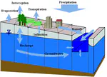 Simulator for Hydrologic Unstructured Domains (SHUD v1.0): Numerical modeling of watershed hydrology with the finite volume method